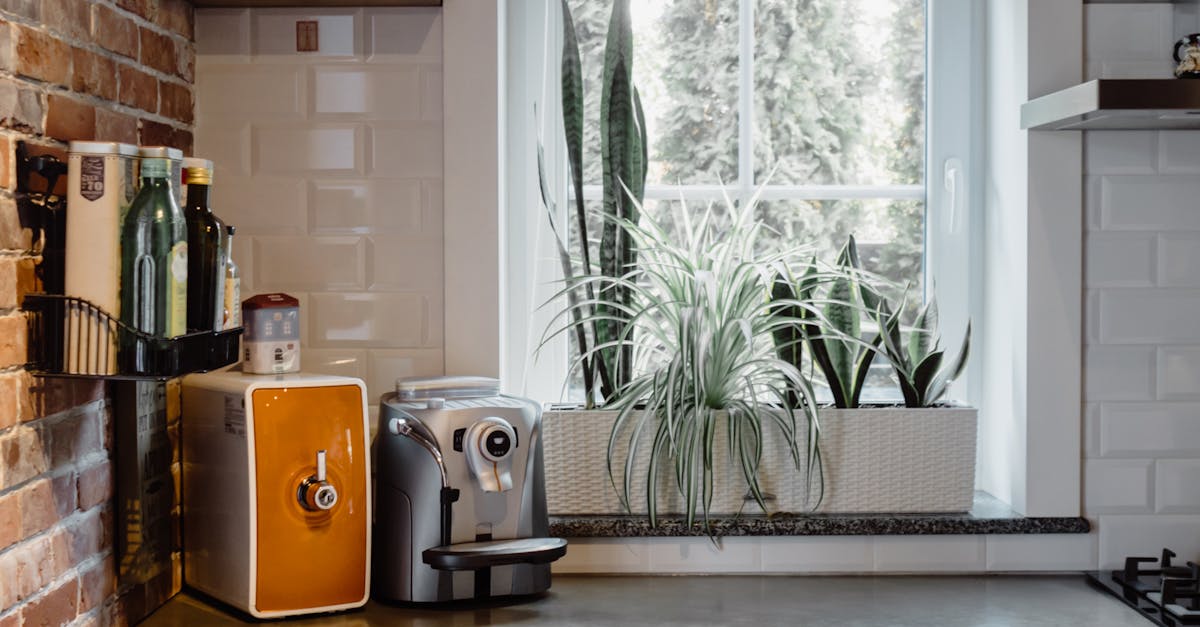 Connectivity and Convenience: The Rise of App-Controlled Appliances
