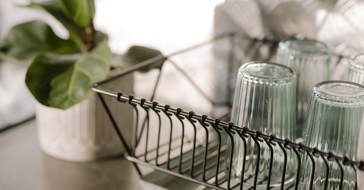 Embracing Simplicity in Minimalist Kitchen Aesthetics