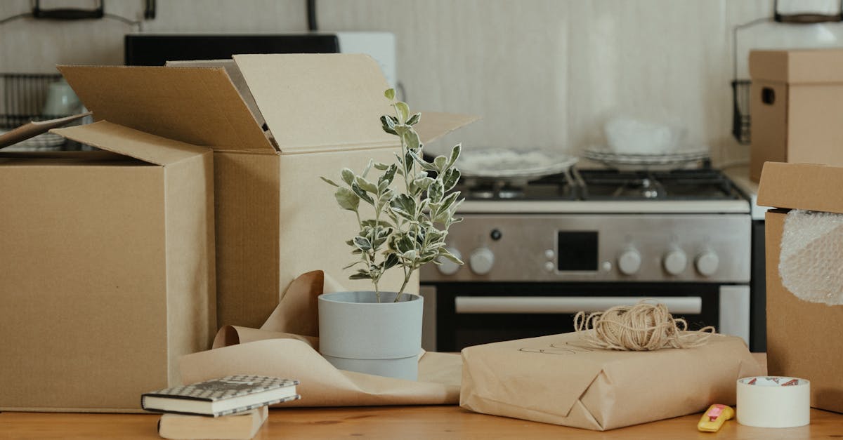 Smart Lighting Solutions for Optimal Kitchen Ambience